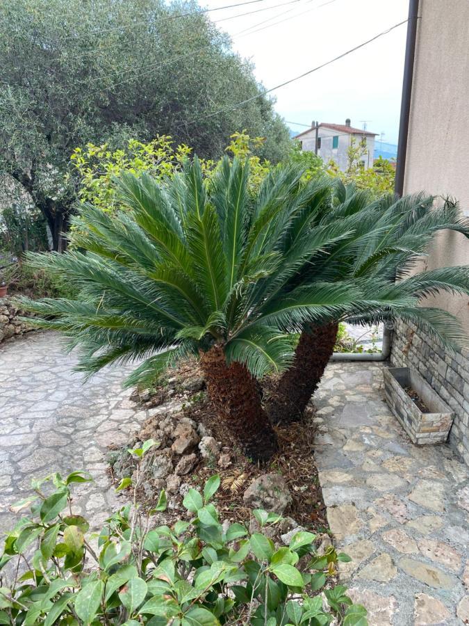 Appartement Il Giardino Delle Cycas à Romito Magra Extérieur photo